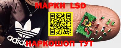 СК Ставрополь